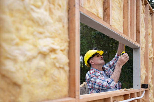 Best Attic Insulation Installation in Mendota Heights, MN