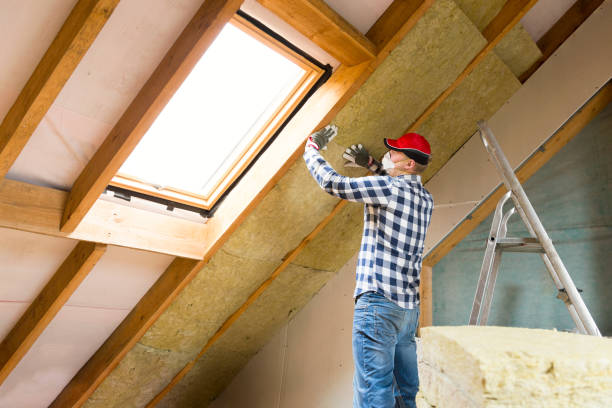 Best Batt and Roll Insulation in Mendota Heights, MN