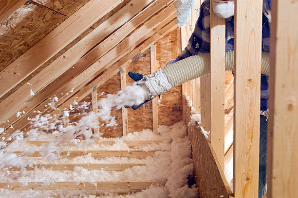 Best Commercial Insulation Services in Mendota Heights, MN