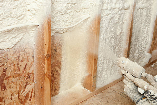 Best Spray Foam Insulation in Mendota Heights, MN